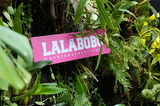 LALABOBO品牌全新升級(jí) | 自主IP害羞熊引關(guān)注