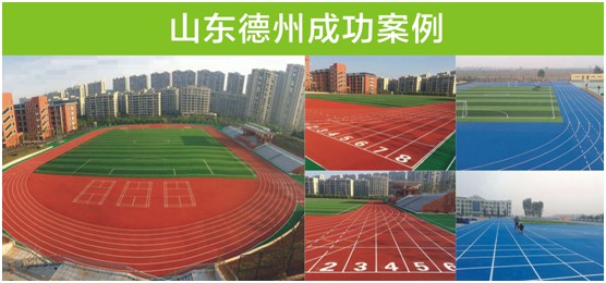遠洋環(huán)保塑膠跑道 又建一個校園混合型跑道標桿工程